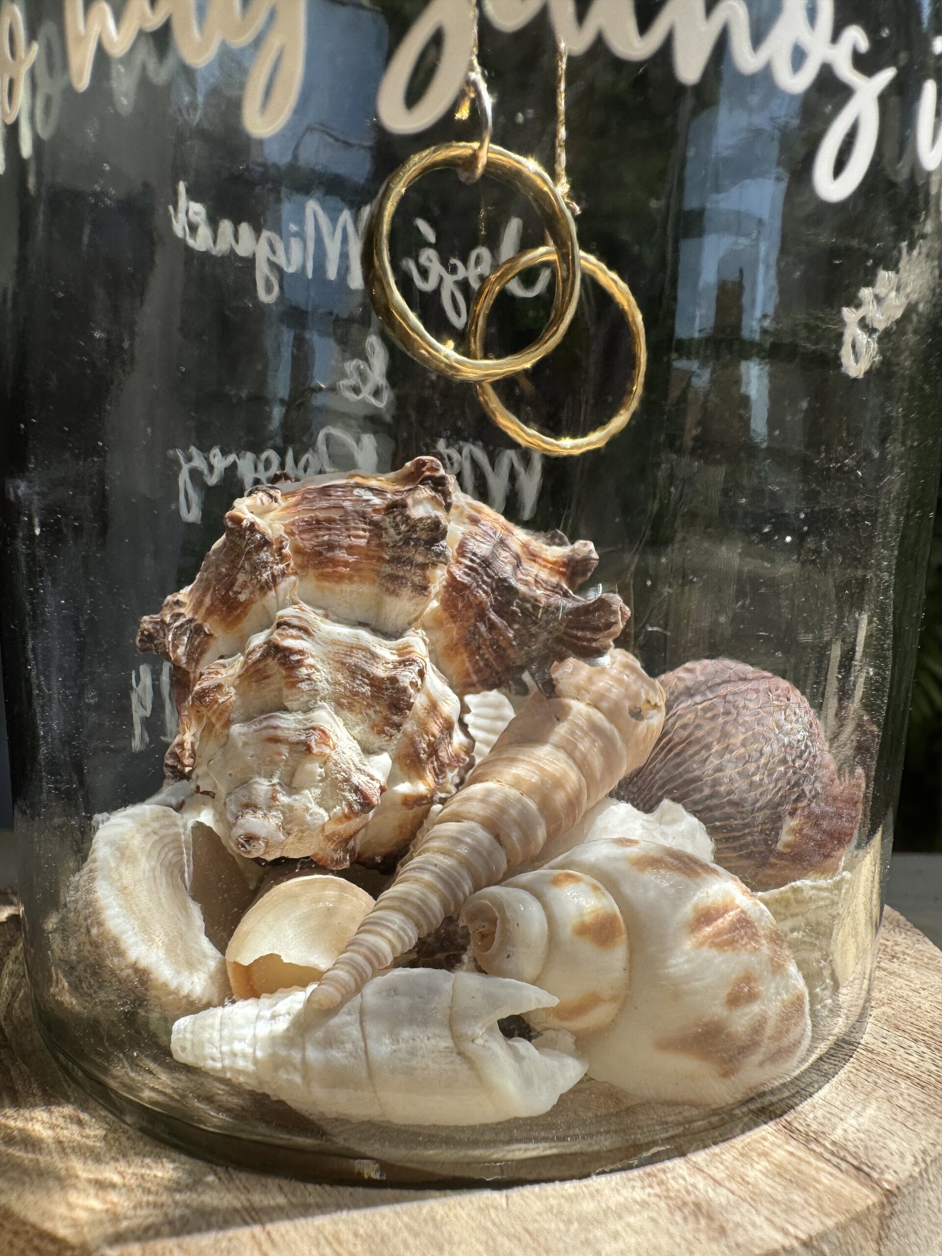 Portaalianzas cápsula rústico caracolas - 1